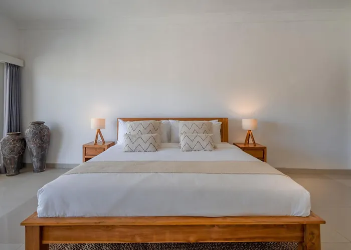 The Olivia Estate